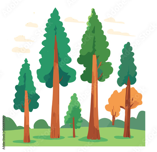 set of trees in forest