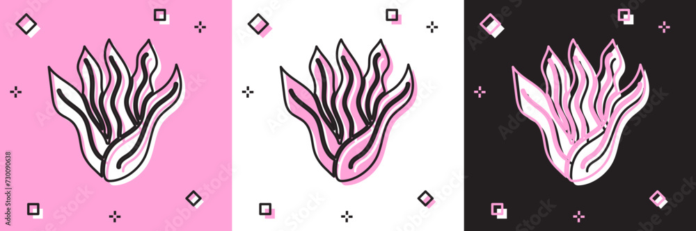 Set Seaweed icon isolated on pink and white, black background. Underwater seaweed spirulina, aquatic marine algae plant. Vegan and vegetarian food. Vector. Set Seaweed icon isolated on pink and white, black background. Underwater seaweed spirulina, aquatic marine algae plant. Vegan and vegetarian food. Vector.