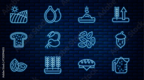 Set line Measuring cup, Acorn, oak nut, seed, Seed, Sprout, Bread toast, Agriculture wheat field, and Pumpkin seeds icon. Vector