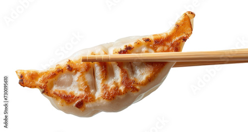 gyoza isolated on white background photo