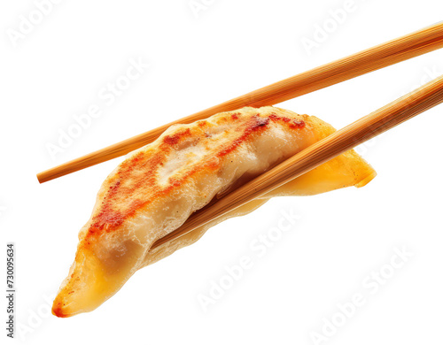 gyoza isolated on white background photo