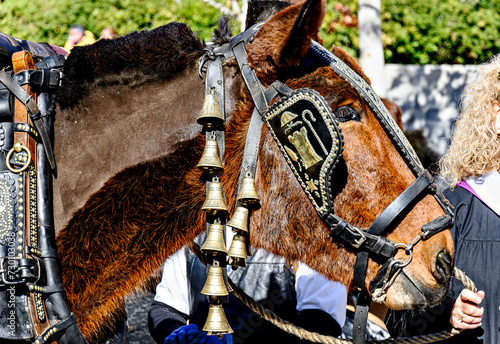 Horse parade at the festival of the three graves in Igualada, Barcelona. festivity of San Antonio