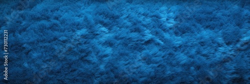Blue plush carpet © GalleryGlider