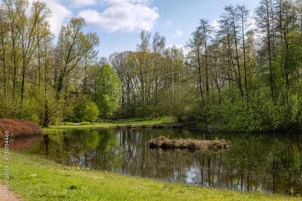 lake in the woods