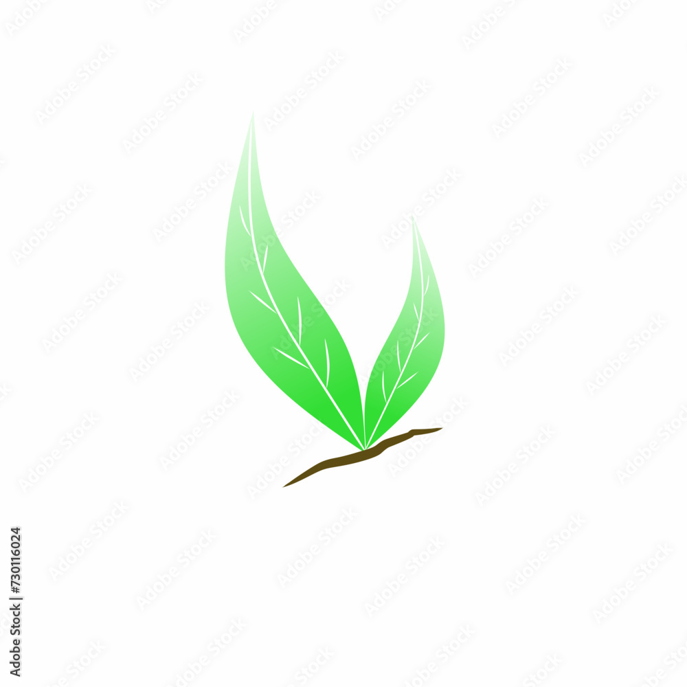 Fototapeta premium green leaf isolated on white background