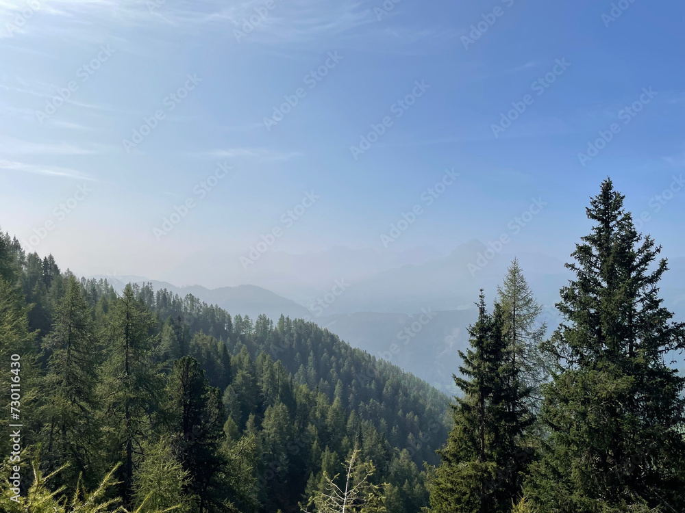 panoramic view between the trees showing hazy blue mountains in the distance