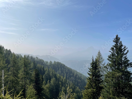 panoramic view between the trees showing hazy blue mountains in the distance