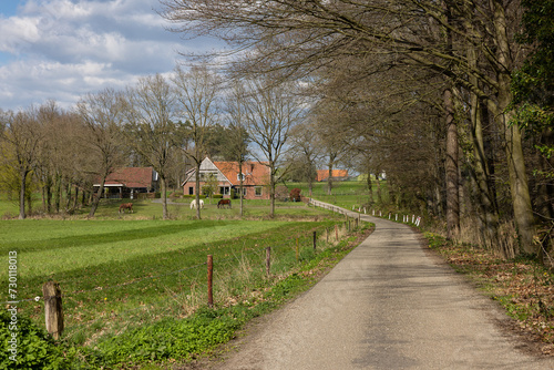 Road to farm with horses
