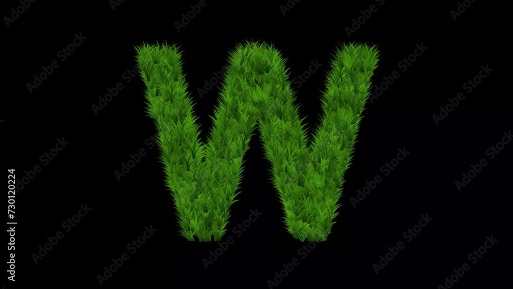 English alphabet W with green grass effect on plain black background English alphabet W with green grass effect on plain black background