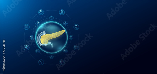 Medical health care. Human pancreas in transparent bubbles surround with medical icon. Technology innovation healthcare hologram organ on dark blue background. Banner empty space for text. Vector.