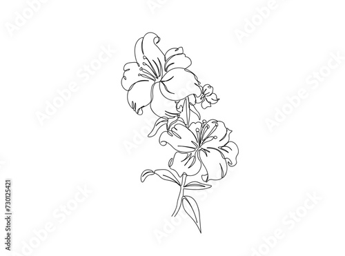 Flower Line Art Drawing Ai  EPS  SVG  PNG  JPG zip file