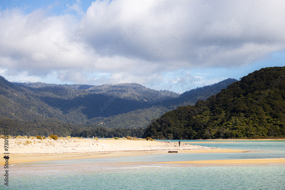 abel tasman island beach with mountain in the background and person far in the distance abel tasman island beach with mountain in the background and person far in the distance