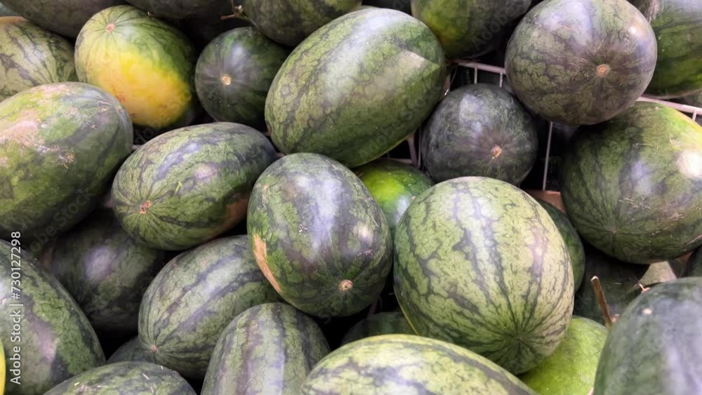 Close-up, Big Striped Watermelons Lie Together in the City Market. High quality 4k footage Close-up, Big Striped Watermelons Lie Together in the City Market. High quality 4k footage