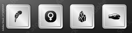 Set Feather pen, Venus, Magic stone and Snake icon. Silver square button. Vector