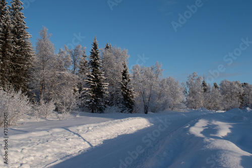 Idyllic panoramic view of a beautiful white winter wonderland scenery in Scandinavia with scenic golden evening light at sunset in winter, northern Europe.