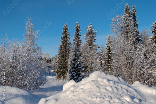 Idyllic panoramic view of a beautiful white winter wonderland scenery in Scandinavia with scenic golden evening light at sunset in winter, northern Europe.