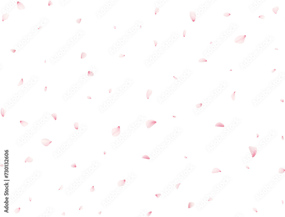 Cherry Flower Petals