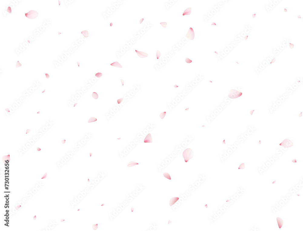 Cherry Flower Petals Cherry Flower Petals
