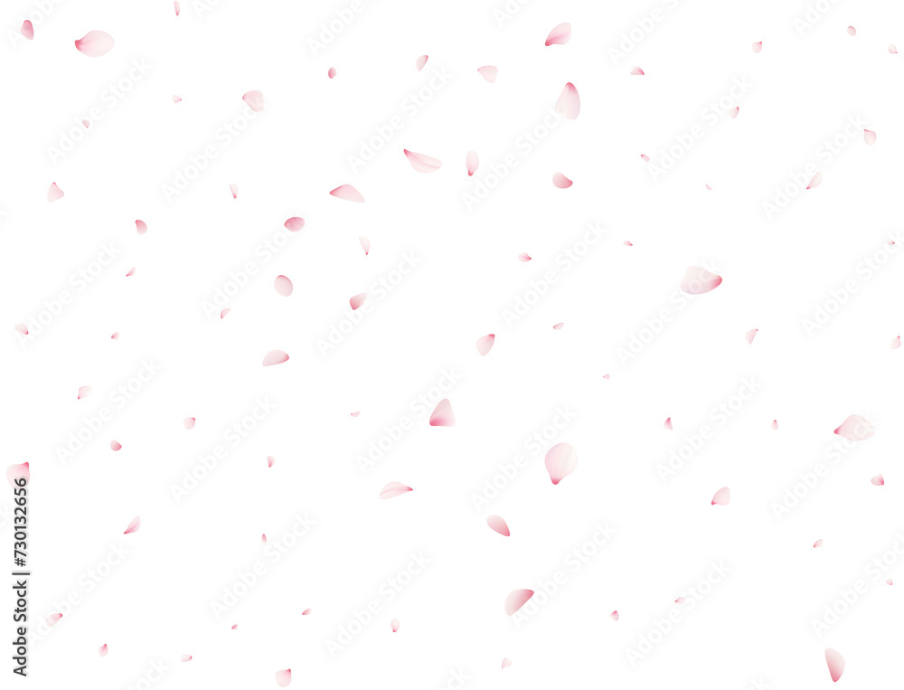 Cherry Flower Petals