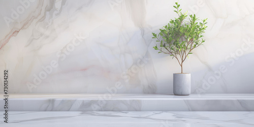 vases and plants on white marble table in kitchen interior design. copy space