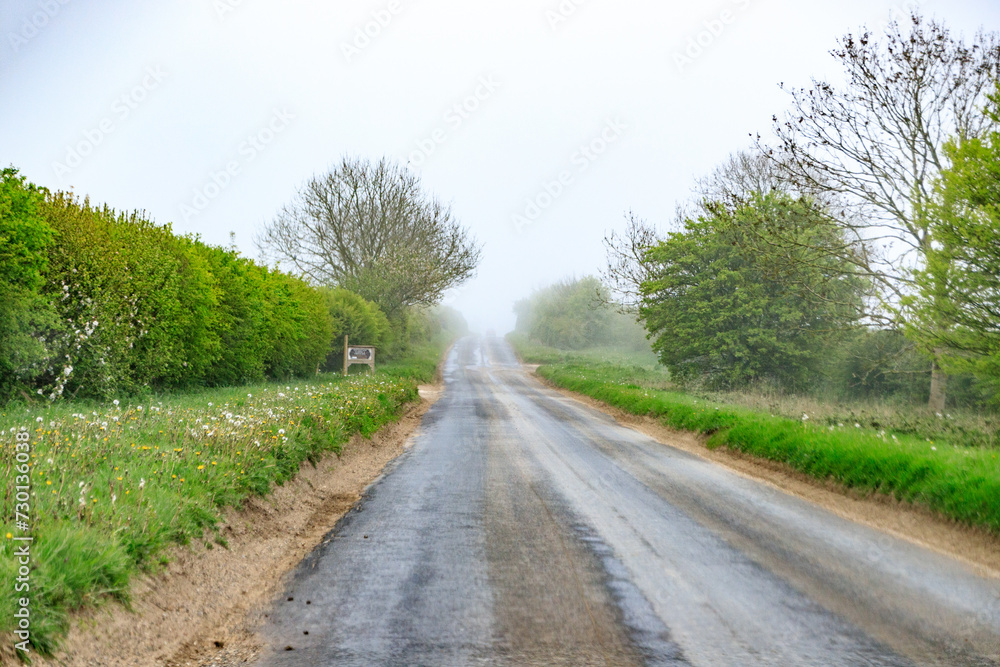 Fototapeta premium Misty Morning Drive Through Lush Greenery