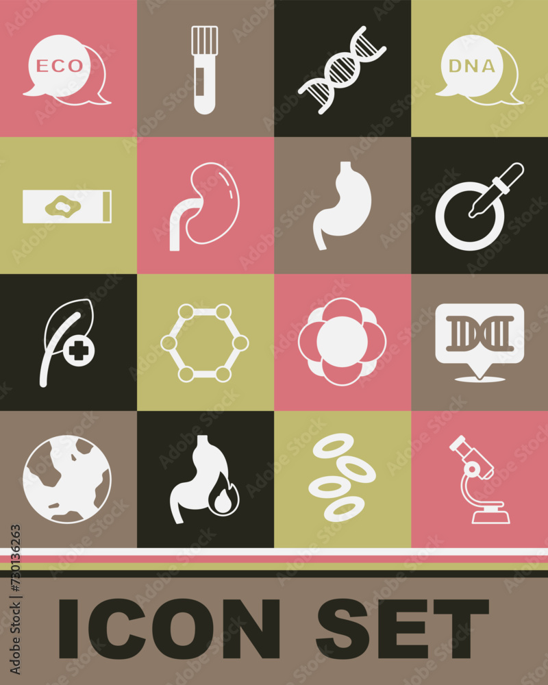Set Microscope, DNA symbol, Petri dish with pipette, Human kidney, Blood test and virus, Label for eco healthy food and stomach icon. Vector Set Microscope, DNA symbol, Petri dish with pipette, Human kidney, Blood test and virus, Label for eco healthy food and stomach icon. Vector