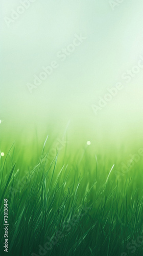 Green grass background with bokeh effect.
