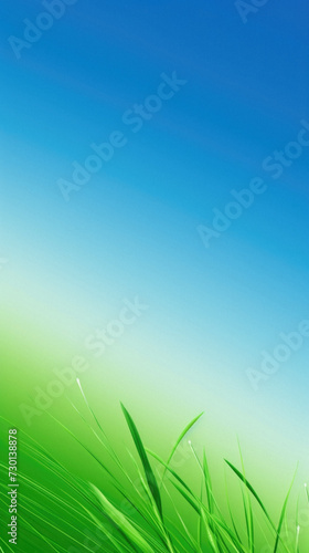 Green grass on blue sky background with copy space for your text.