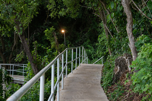 A concrete pathway flanked by metal railings leads through a lush green forest, with a warm light glowing from a lamp post as dusk approaches, inviting a tranquil walk in nature.
