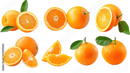set of isolated oranges