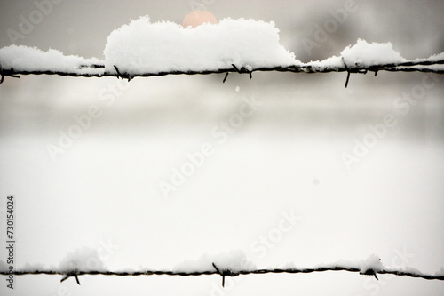 barbed wire with snow photo