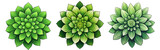 isolated illustration of green flower. Created with Generative AI	