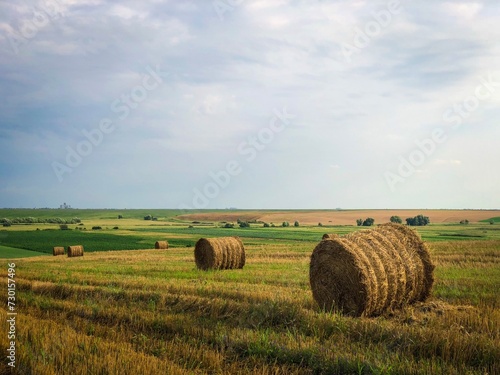 hay bales in the field