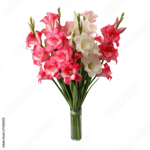 flower - White and pink Foxglove flowers symbolize sincerity and love.