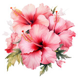 flower - Candy Apple Red ..Bouquet.Hibiscus: Delicate beauty