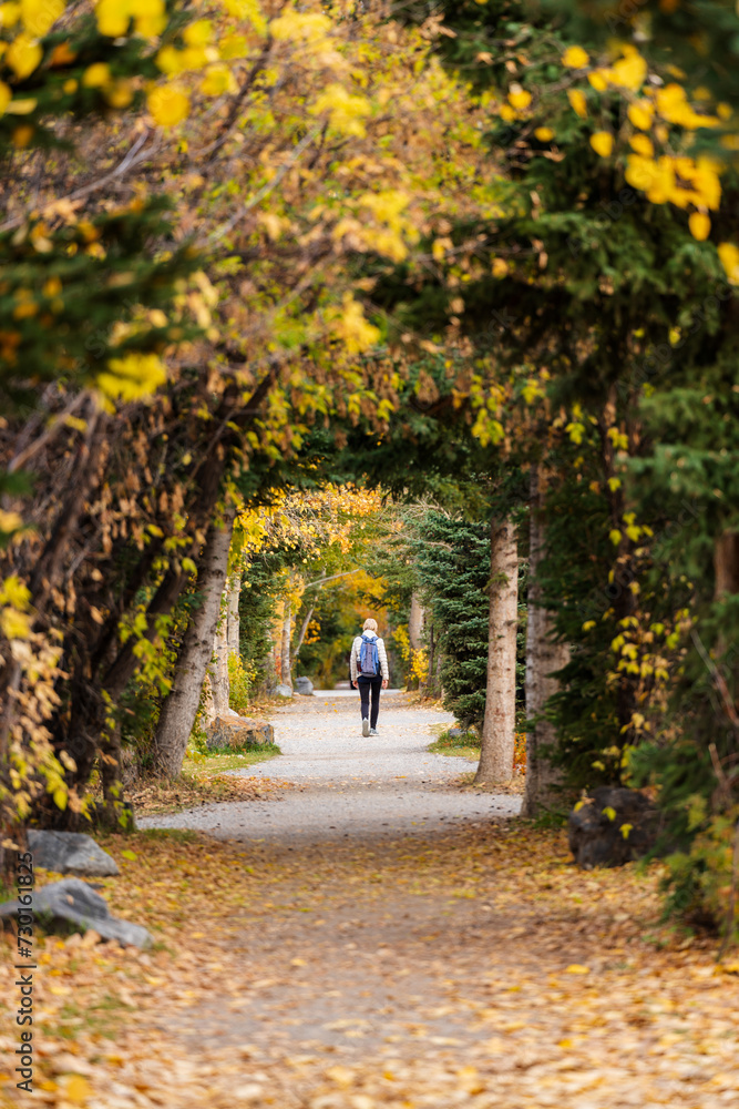 People walking in a tunnel of forest trees. Spur Line Trail in fall season. Canmore, Alberta, Canada.