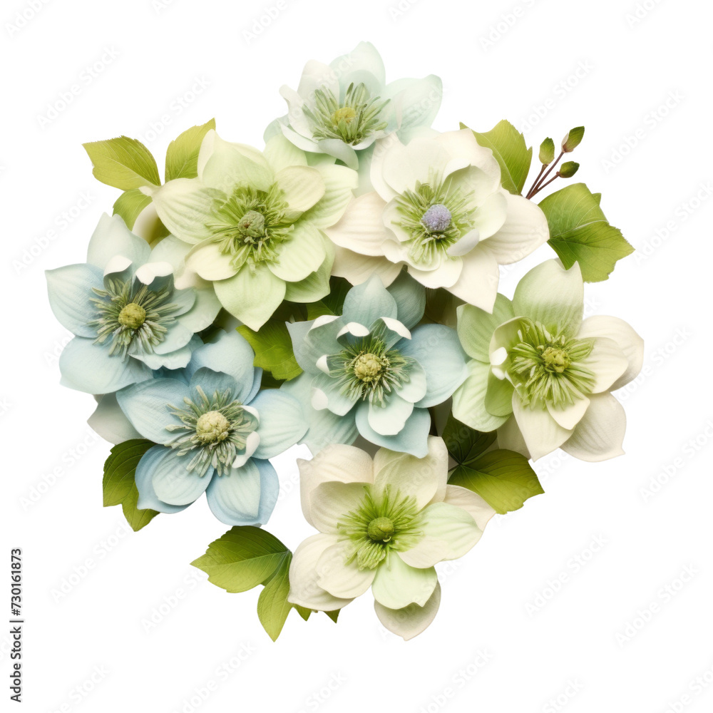 flower - Lime Green...Bouquet. Hellebore: Serenity and tranquility