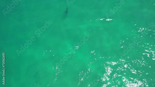 Palm Beach - Southern Gold Coast, Queensland, QLD - Australia - Drone Shot photo