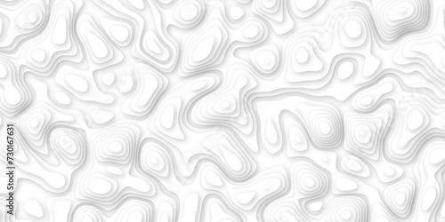 white paper and relief wave and cruve line paper cut background. soft white color seamless pattern, vector illustration, multi layer cutout banner design. topo counter map in 3d view.