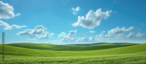 Scenic scene with green fields and blue skies, few clouds