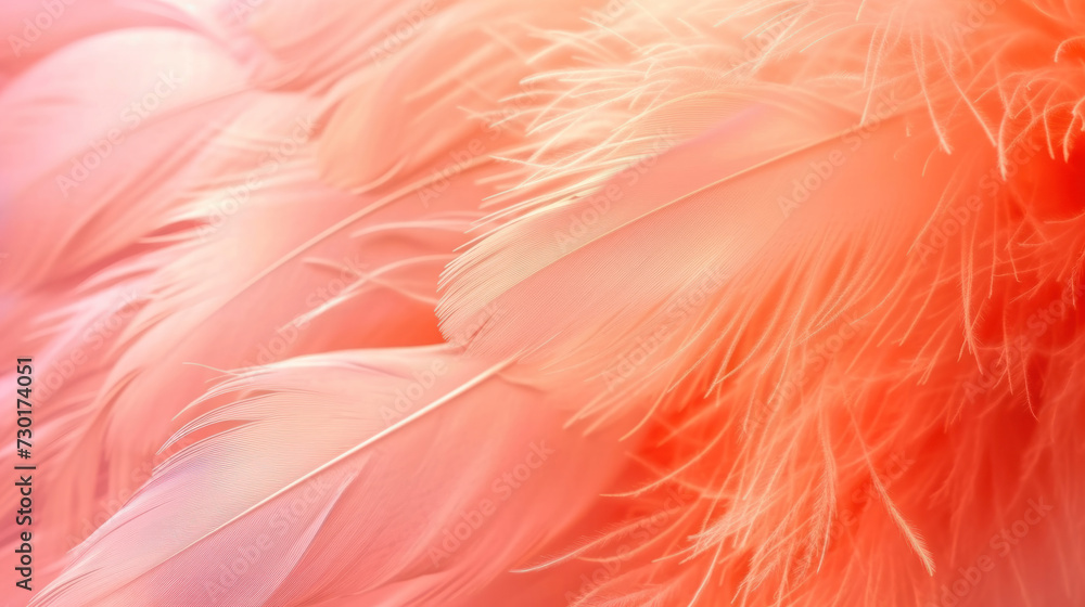 Beautiful soft pink orange color trends feather pattern texture background.