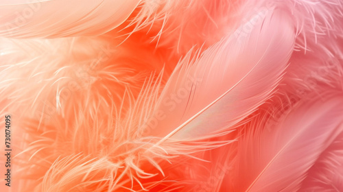 Beautiful soft pink orange color trends feather pattern texture background.