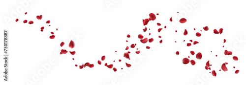 Valentine's day Vector red symbols of love border for romantic banner or Red rose petals will fall on abstract floral background with gorgeous rose greeting card design. on transparent background