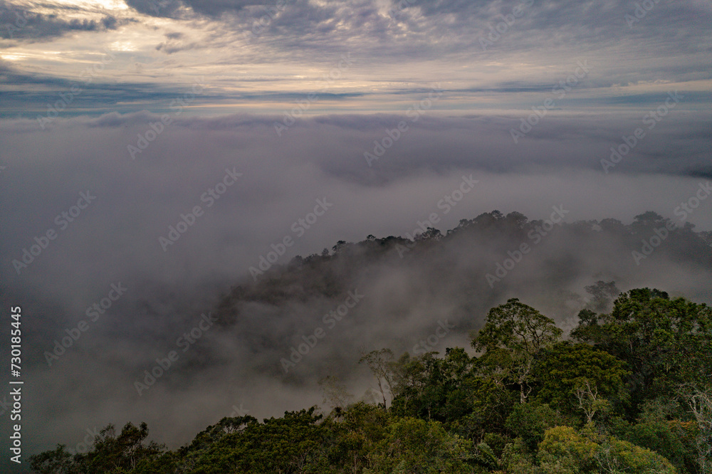 fog in the mountains fog in the mountains