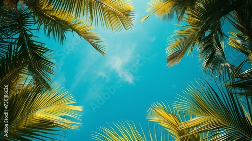 Lush palm leaves against a vivid turquoise sky transport you to an exotic island