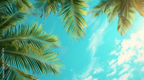 Lush palm leaves against a vivid turquoise sky transport you to an exotic island