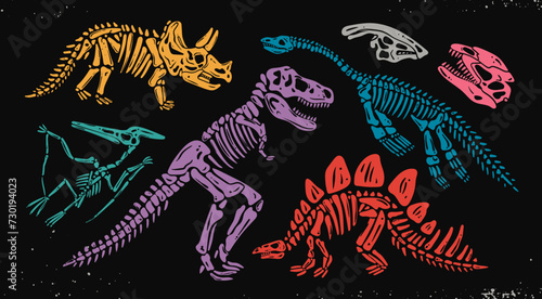 Dinosaur skeletons. Collection of colorful bones of prehistoric creatures. Hand drawn modern Vector illustration. Museum, fossil, archaeological finds, paleontology concept. Isolated design elements