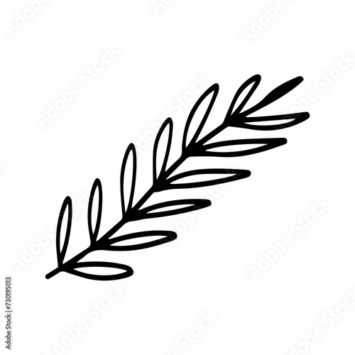 hand drawn of palm leaf