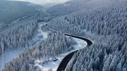 Winter forest landscape