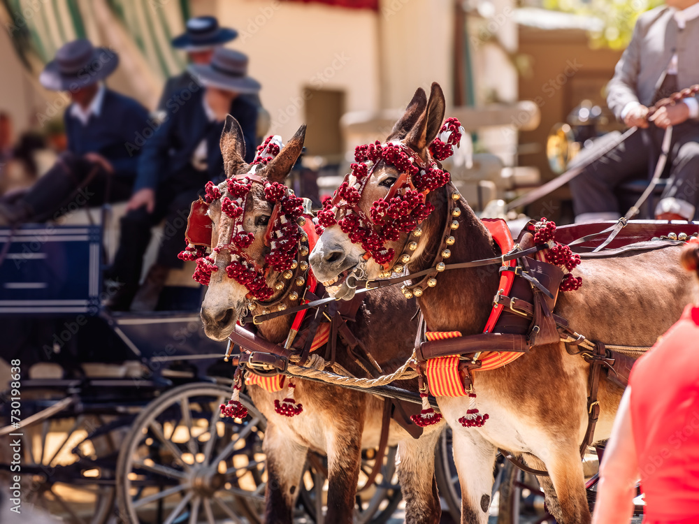 Elegant Horses Adorned for Seville’s April Fair Celebration